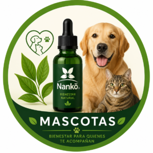 Mascotas